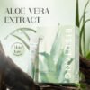 1-27.jpeg Aloe Vera Soothing Moisturizing Gel