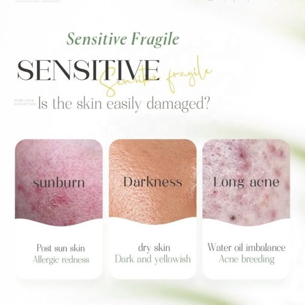 2-26.jpeg Aloe Vera Soothing Moisturizing Gel